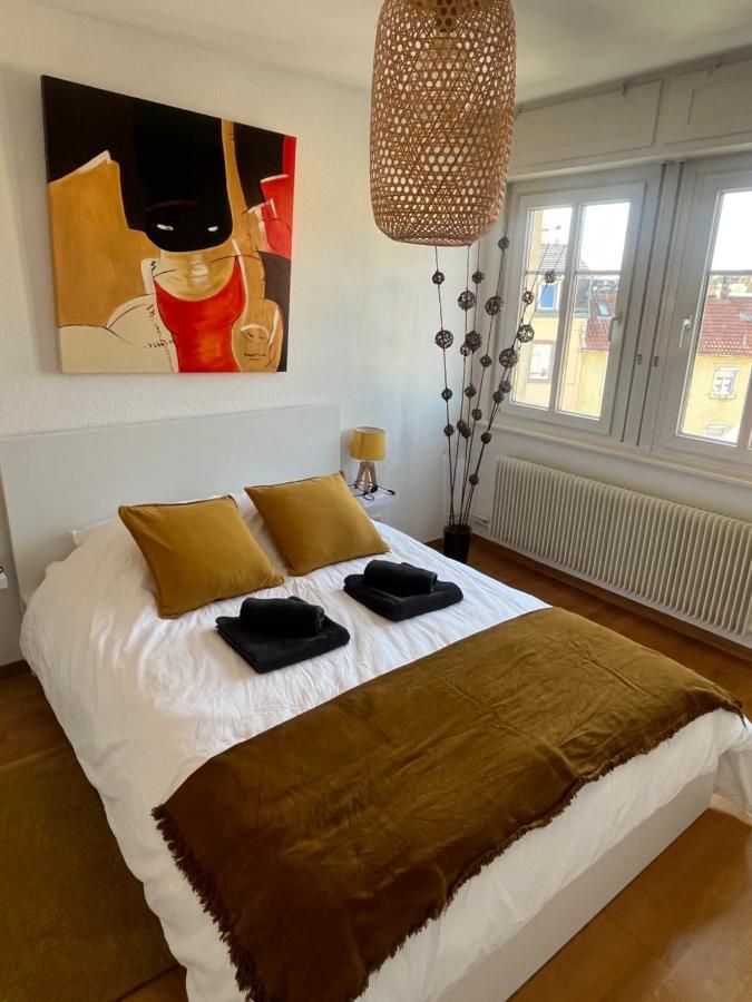 Bel Appartement Centre Climatise Parking Prive Colmar Exterior photo